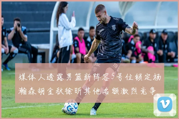 媒体人透露男篮新阵容5号位锁定杨瀚森胡金秋徐昕其他名额激烈竞争